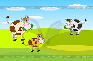 Spotted cows grazing in meadow - vector clipart