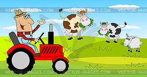 Man is farmer on tractor and cows on meadow - royalty-free vector image