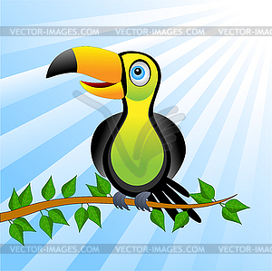 Toucan bird sitting on vetch - vector image