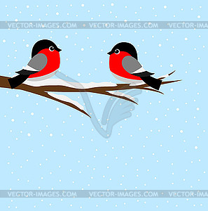 Two bullfinch sitting on tree branch - vector clip art