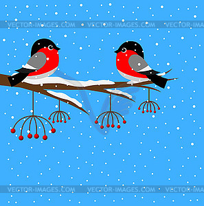 Two bullfinch sitting on branch of mountain ash - vector clipart / vector image