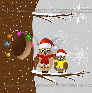 Two owls sitting on tree branch - vector EPS clipart