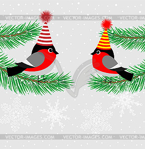 Two bullfinch sitting on green fir branches - vector image