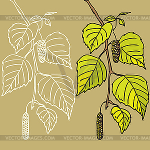 Design floral element.  - vector clip art