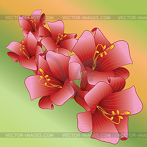 Decorative flower background.  - vector image