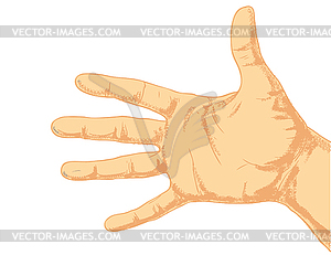 Hand  - vector image