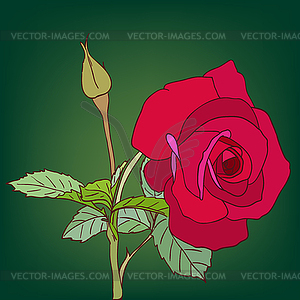 Design floral element - vector image