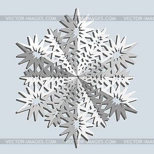 Snowflakes.  - vector image