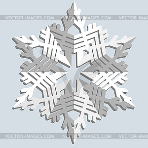Snowflakes.  - vector image