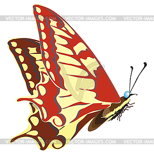 Seamless background of colorful butterflies - vector clip art