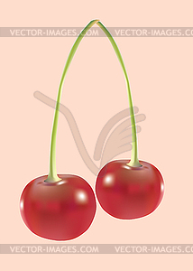 Cherry - vector clip art