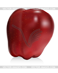 Red apple - vector clipart