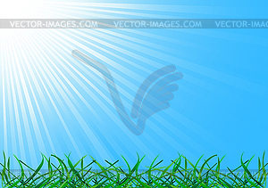 Background with grass - vector image