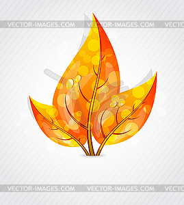 Autumn leaves design - vector clipart