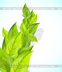 Фон с листьями - изображение в векторе / векторный клипарт