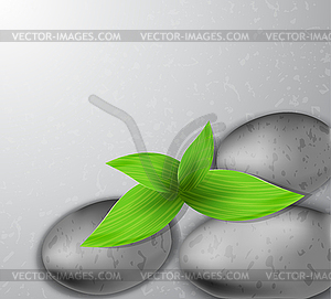 Spa stone with leaves - vector clipart