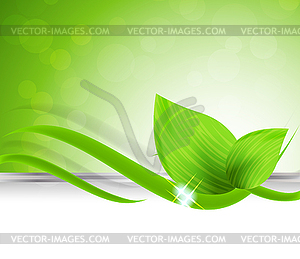 Background with leaves - vector image