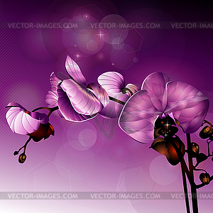 Flower - vector clip art