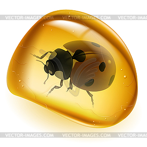 Amber - vector image