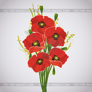 Beautiful celebratory bouquet of red poppies - vector image