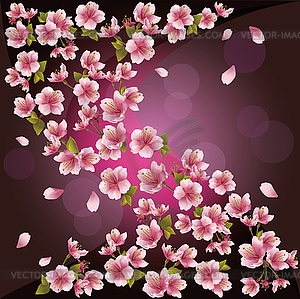 Background with sakura - Japanese cherry tree - vector image