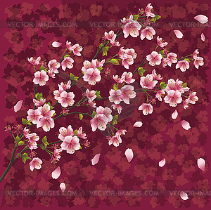 Японский фон с цветы сакуры - рисунок в векторном формате