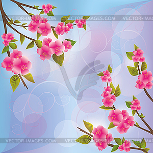 Background with sakura blossom, Japanese cherry tree - vector image