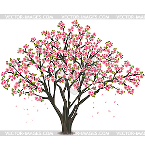 Japanese cherry tree blossom - vector EPS clipart