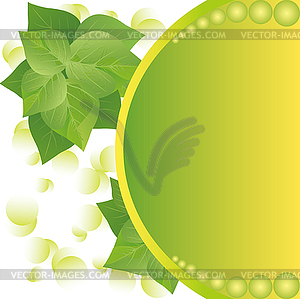 Eco background with fresh green leaves and sun - vector image