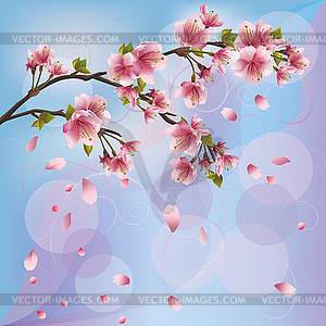 Background with sakura blossom - Japanese cherry - vector clipart