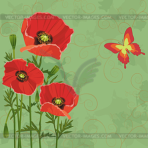 Floral vintage background with poppies and butterfly - vector image