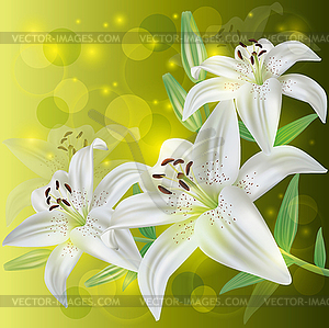 Flower lily background, invitation or greeting card - vector image