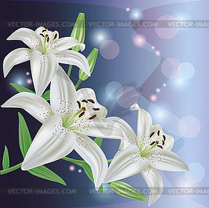 Приветствия или приглашения карты с цветок лилии - иллюстрация в векторе