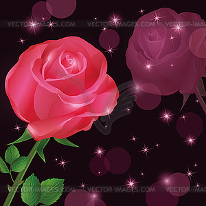 Greeting or invitation card with rose - vector image