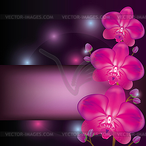 Фиолетовый фон орхидей, поздравительные открытки или приглашения - векторное изображение клипарта