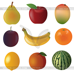 Завязывания плодов - изображение векторного клипарта
