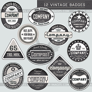 Vintage badges - vector image