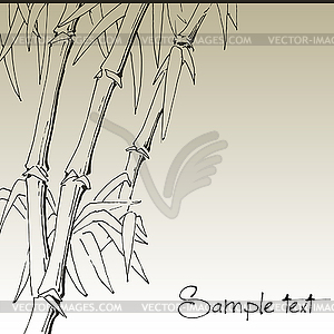 Branch of bamboo, background for design - vector image