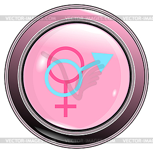 Button male and female sign vec - vector image