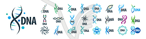 Set of DNA logos - vector clip art