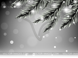 Pine tree branches - vector clip art