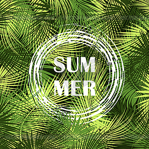 Palm tree branches on dark background - vector image