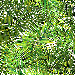 Green palm tree branches on abstract background - vector clipart