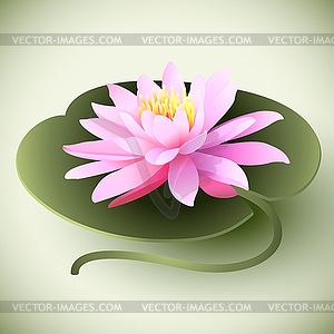 Lotus flower on leaf - vector clipart / vector image