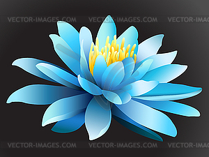 blue lotus flower clip art