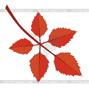 Branch with autumn leaves - vector EPS clipart