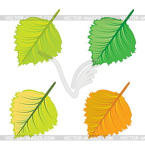 Colorful leaves - vector clipart