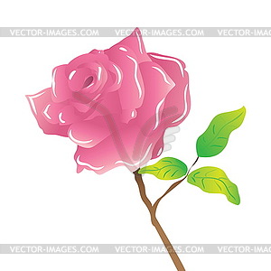 Стволовых розовые розы - векторный клипарт