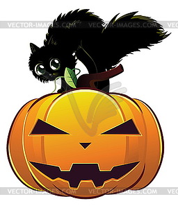 Black cat on pumpkin - vector clipart