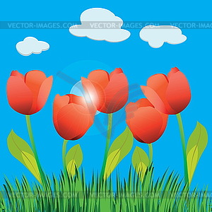 Tulip field - vector clip art